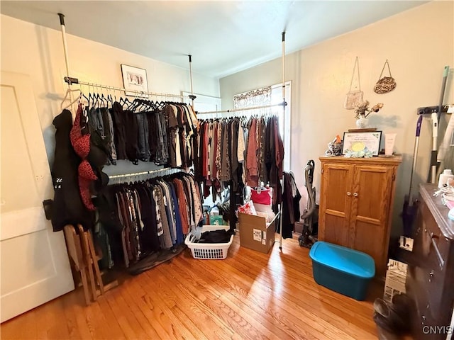 walk in closet featuring wood finished floors