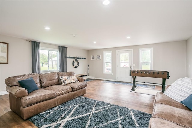 living room with recessed lighting, baseboards, and wood finished floors