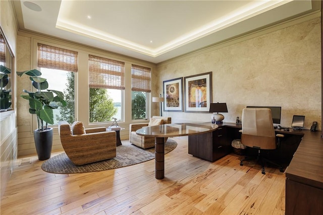 interior space featuring light wood finished floors and a tray ceiling