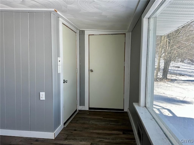 corridor featuring a healthy amount of sunlight, wood finished floors, and wood walls