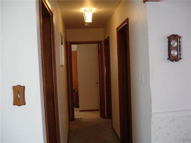 corridor with carpet flooring