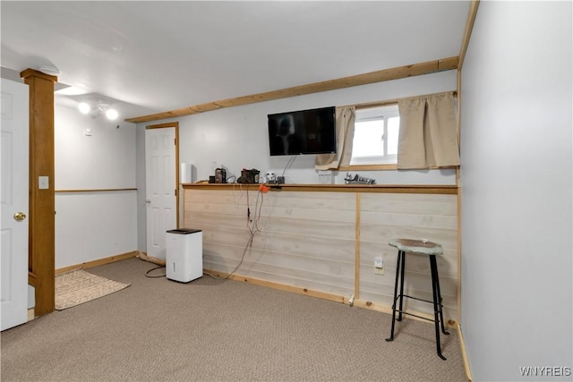 interior space featuring baseboards and carpet flooring