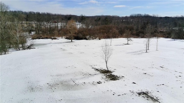 1 Rowland Rd, Conesus NY, 14435 land for sale