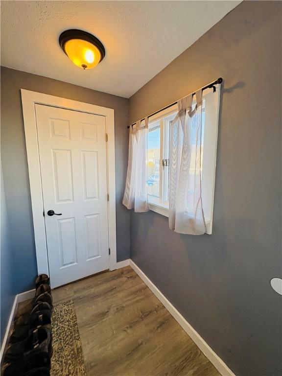 doorway with baseboards and wood finished floors