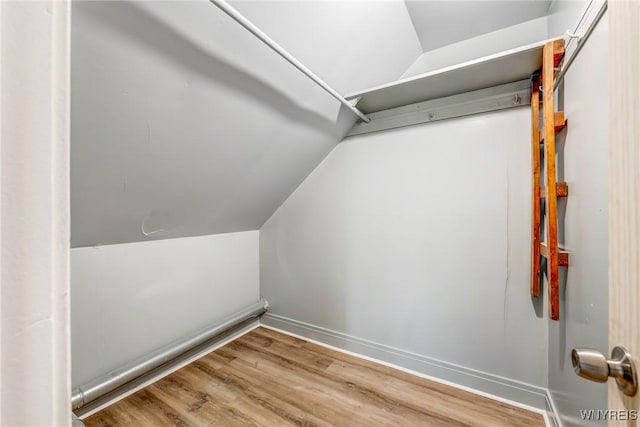 walk in closet with lofted ceiling and wood finished floors