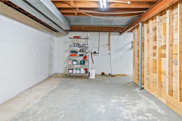 unfinished basement featuring concrete block wall