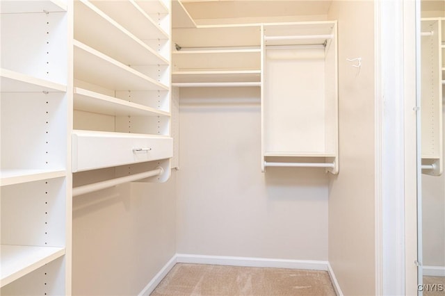 spacious closet with carpet flooring