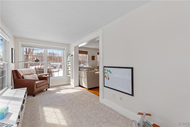 living area featuring carpet flooring and baseboards