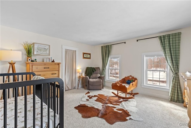 bedroom with carpet flooring