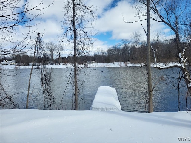 view of yard layered in snow