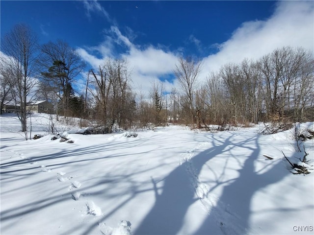 view of yard layered in snow