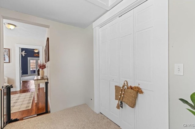 corridor featuring carpet flooring