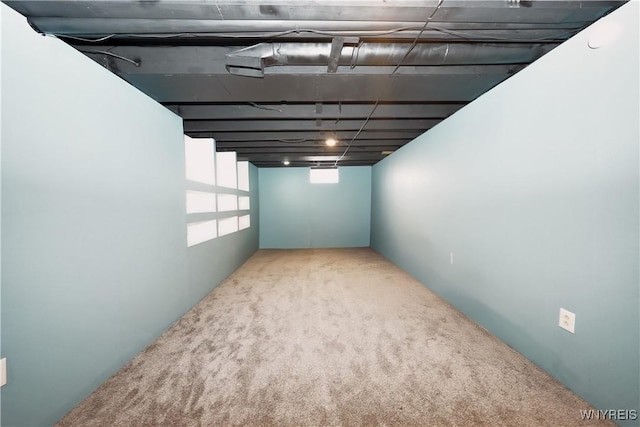 basement featuring carpet