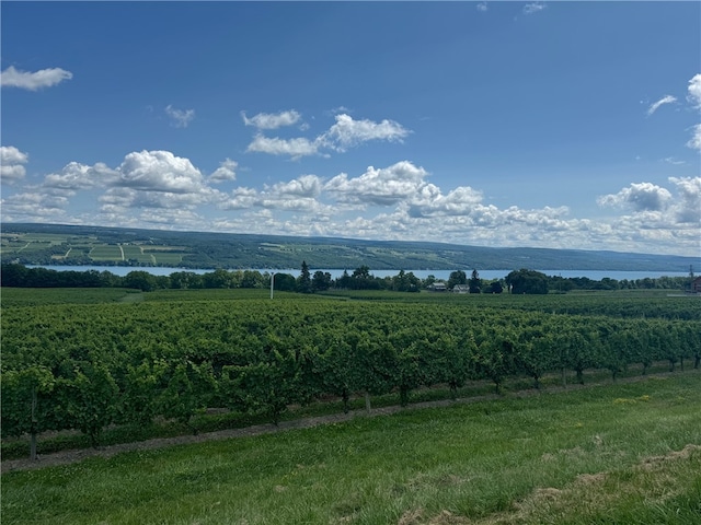 water view with a rural view