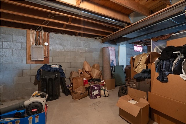 basement featuring electric panel