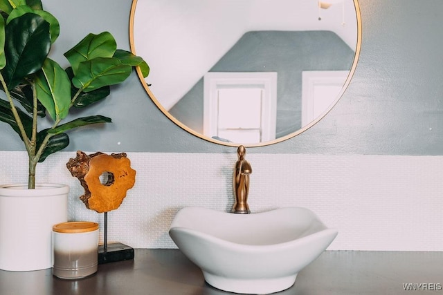 details featuring a wainscoted wall and a sink