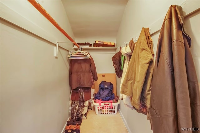 walk in closet featuring carpet flooring