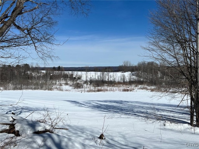 Milk House Rd, Turin NY, 13473 land for sale