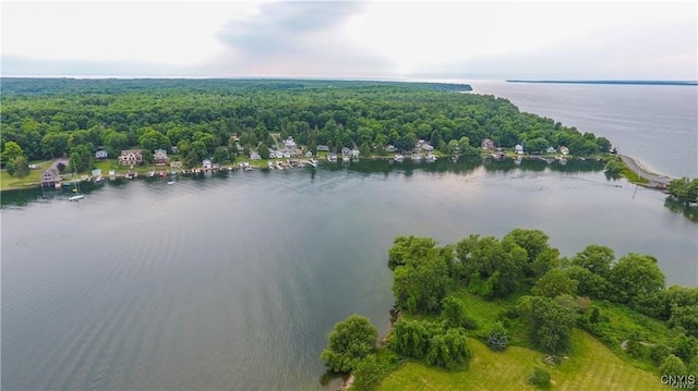 drone / aerial view featuring a wooded view and a water view