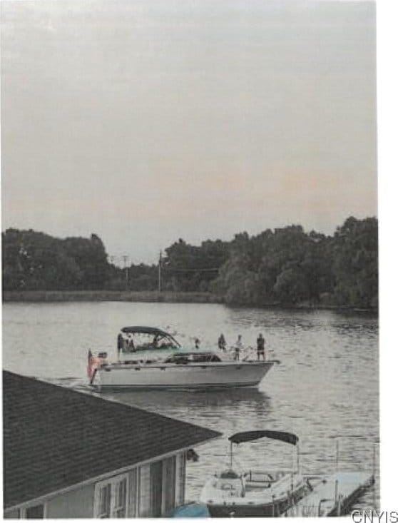15126 Snowshoe Rd, Henderson, NY 13650 - dock area featuring a water view and a view of trees