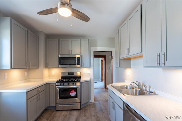 kitchen with wood finished floors, a sink, gray cabinetry, light countertops, and stainless steel appliances