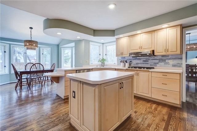 kitchen featuring dark wood-style floors, stainless steel appliances, a sink, light countertops, and under cabinet range hood