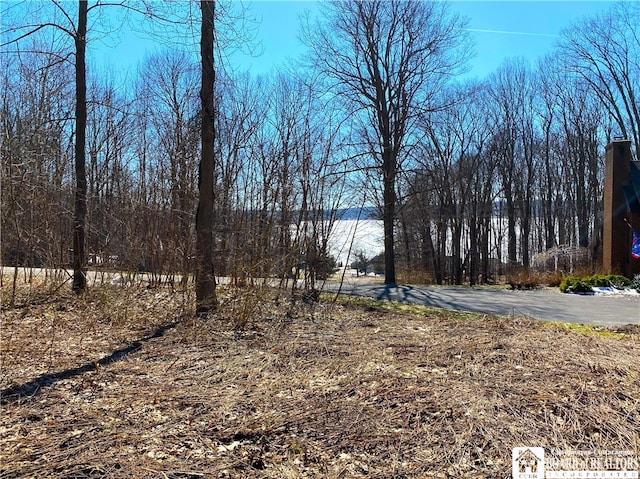 5482 Scandia Dr, Ellery NY, 14712 land for sale