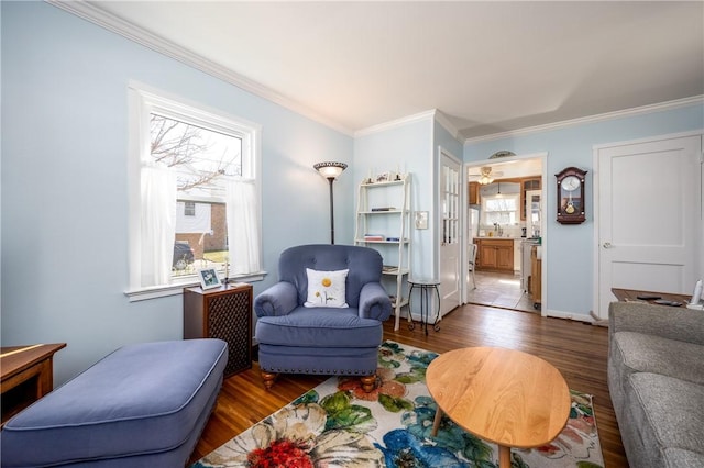 living area featuring wood finished floors, baseboards, and ornamental molding