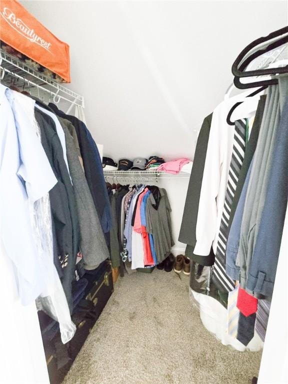 walk in closet featuring carpet floors