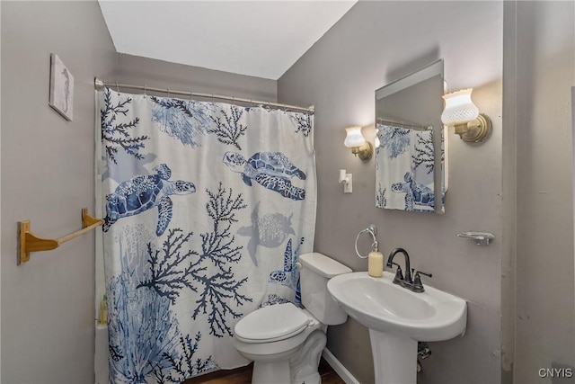 full bathroom featuring a sink and toilet