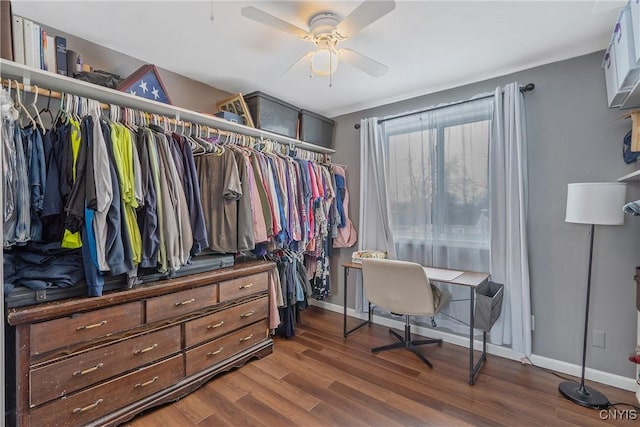 walk in closet featuring dark wood finished floors and a ceiling fan