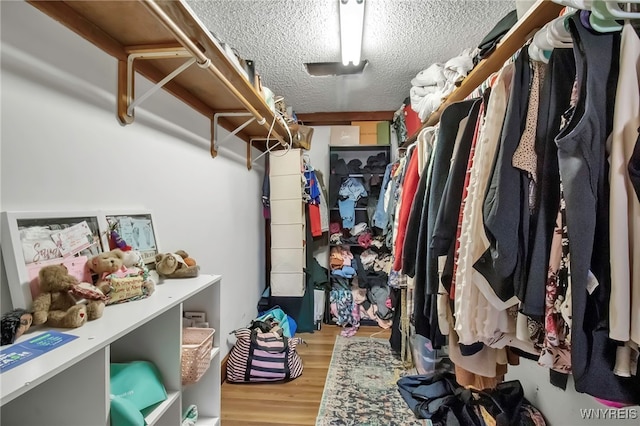 walk in closet with light wood-type flooring