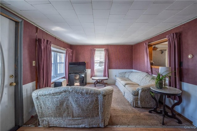 living room featuring a wainscoted wall and carpet flooring