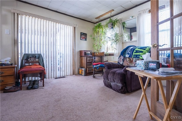 living area with ornamental molding and carpet floors