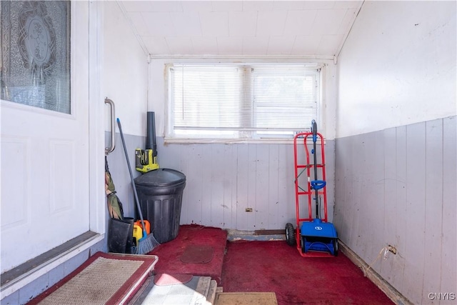 interior space featuring wooden walls, wainscoting, and carpet