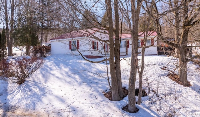 view of yard covered in snow