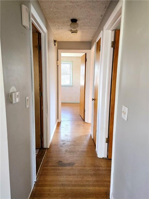 corridor featuring wood finished floors and a textured ceiling