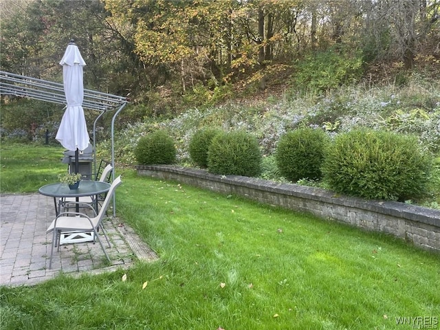 view of yard featuring a patio