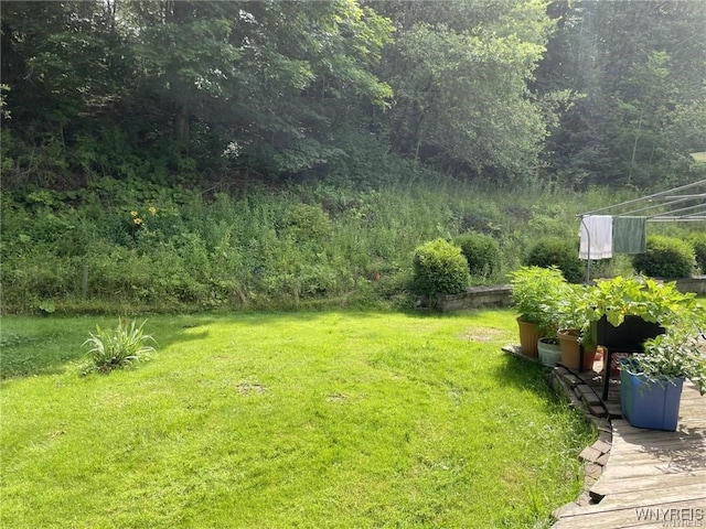 view of yard featuring a forest view