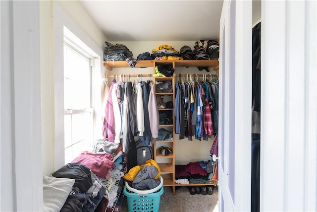 spacious closet with carpet flooring