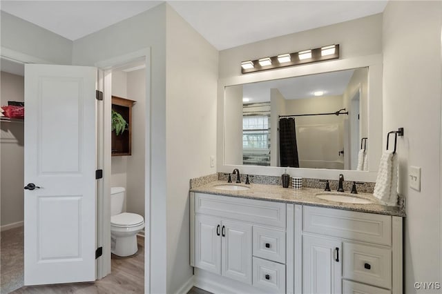 bathroom featuring double vanity, toilet, a shower with shower curtain, and a sink