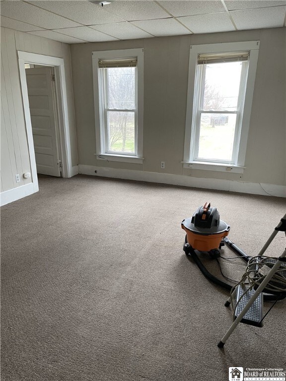 14 Moore Ave, Pomfret, NY 14063 - spare room with baseboards, a drop ceiling, a healthy amount of sunlight, and carpet