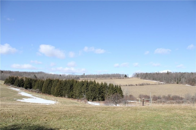 view of yard with a rural view