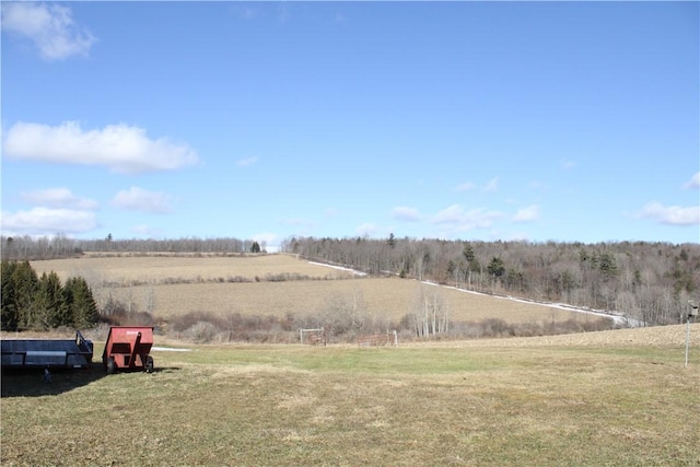 view of yard with a rural view