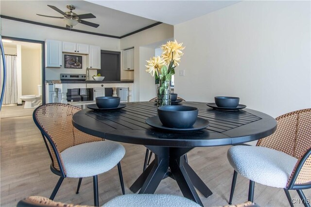 dining space with a ceiling fan, crown molding, and light wood finished floors