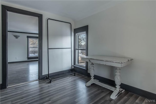 interior space with a wealth of natural light, baseboards, and wood finished floors