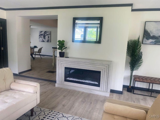 21 Avery Ave, Alexandria, NY 13607 - living room with wood finished floors, baseboards, and a glass covered fireplace