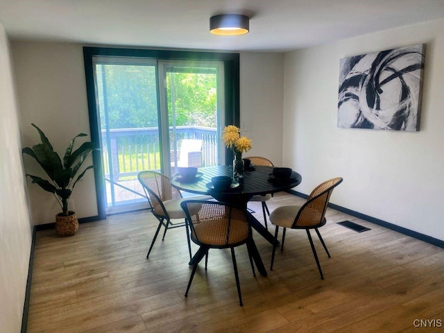 21 Avery Ave, Alexandria, NY 13607 - dining room with light wood-style flooring and baseboards