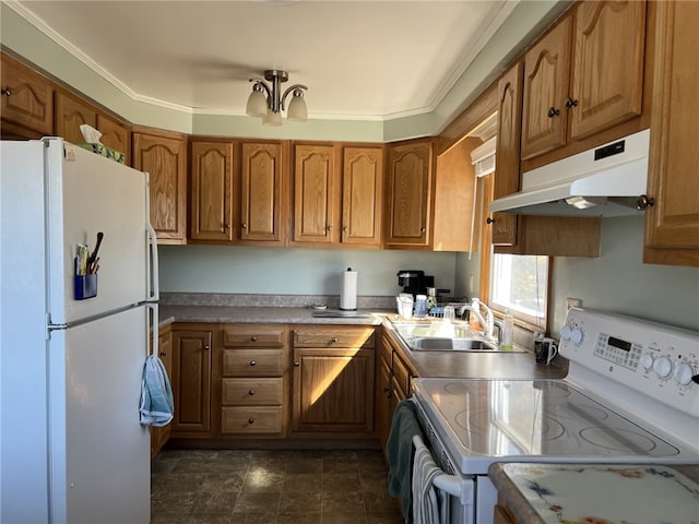 kitchen with white appliances, brown cabinets, under cabinet range hood, and a sink