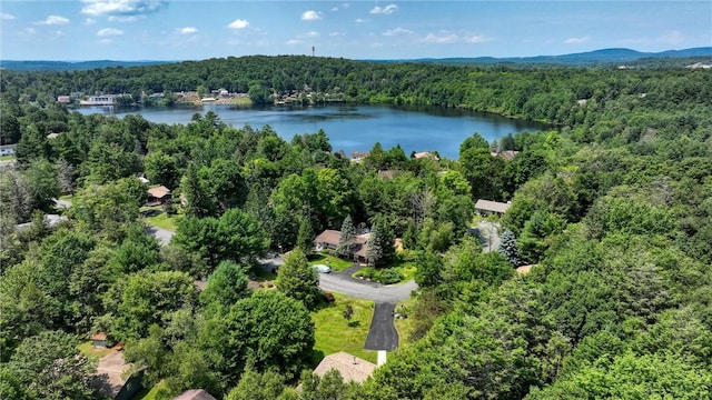 birds eye view of property with a water view and a wooded view